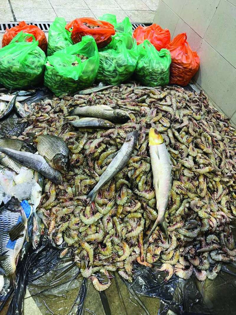 


أسماك فاسدة 