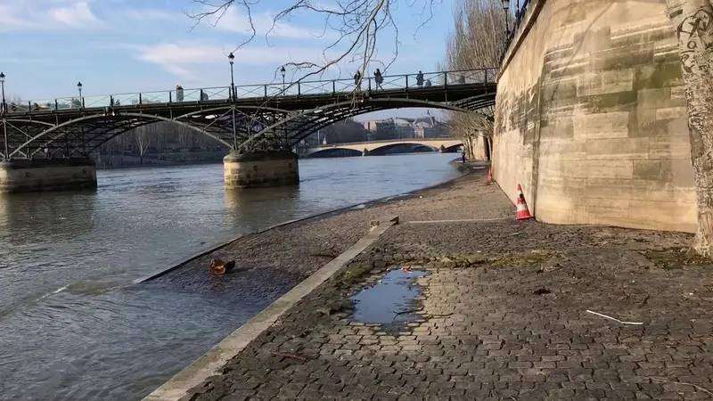 مستويات التلوث وصلت إلى أعلى مستوياتها في نهر السين