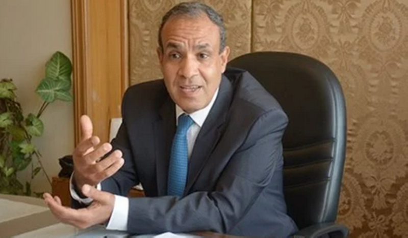 بدر عبدالعاطي