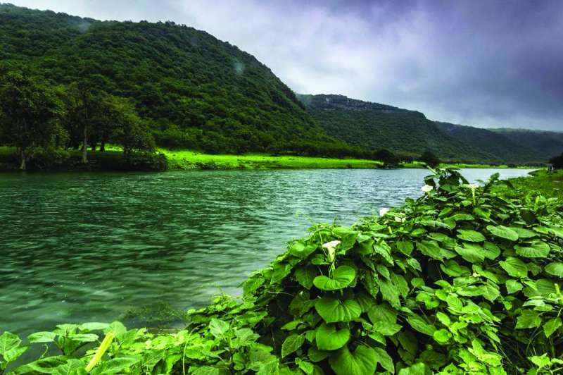 


سحر الطبيعة في صلالة 