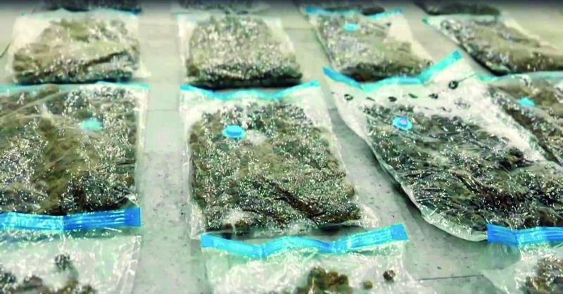 


الماريجوانا مُعبّأة في أكياس مُفرّغة من الهواء 