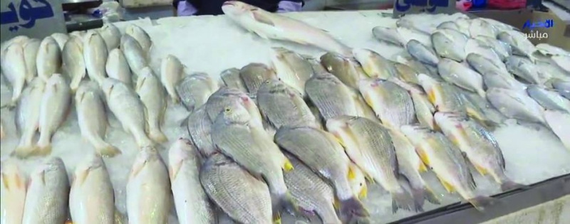 


أسماك غير قابلة للاستهلاك الآدمي 