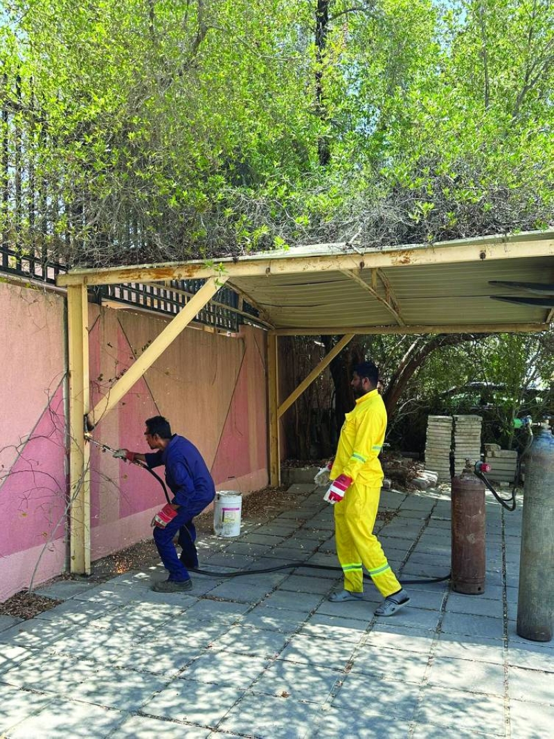 


عمال البلدية يستخدمون الأوكسجين لإزالة المظلات 