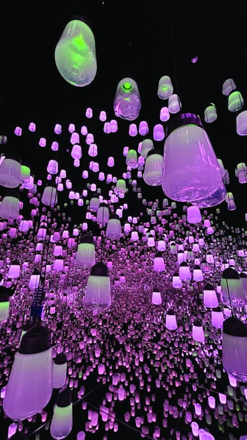 


  غابة المصابيح المعلقة 