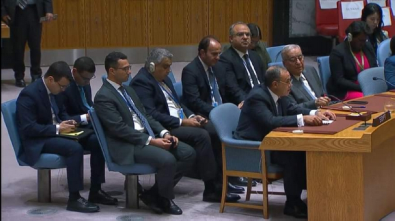 وزير الخارجية المصري متحدثاً عن لبنان وغزة في مجلس الأمن
