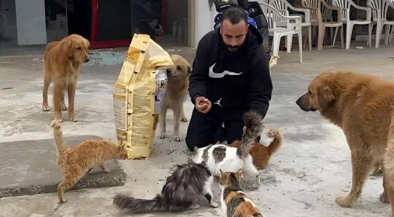 قاسم حيدر 