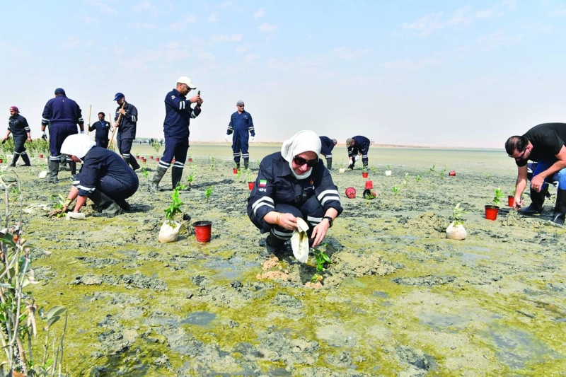 مشاركة نسائية في زرع الشتلات 