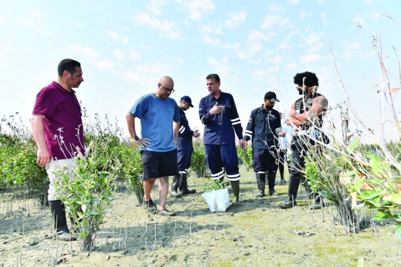 


عبدالله الزيدان يتابع عملية الزراعة 