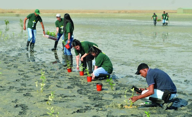 


فرق تطوعية وممثلون عن القطاع الخاص شاركوا في زراعة المانغروف 