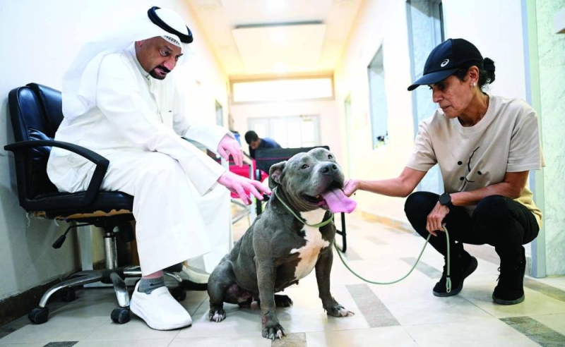 


السعدون والزميل ناصر الفرحان وأمامهما أحد كلاب المأوى         (تصوير نايف العقلة) 