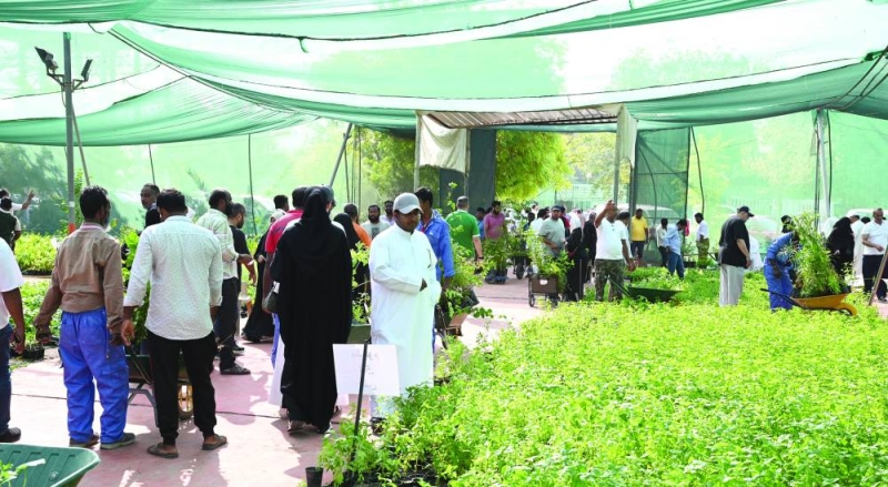 


إقبال كبير على المشتل في اليوم الأول 	(تصوير نايف العقلة) 
