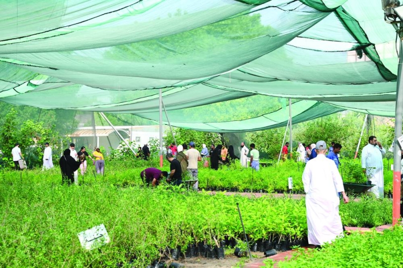 نبات من كل الأنواع والأشكال