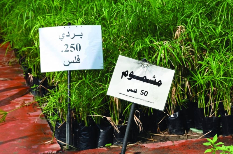 


أسعار في المتناول 