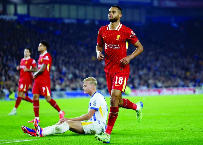 


كودي خاكبو محتفلاً بهدفه الثاني في مرمى برايتون              	                 (رويترز) 