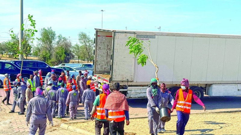 خلية نحل لزراعة الشتلات والشجيرات