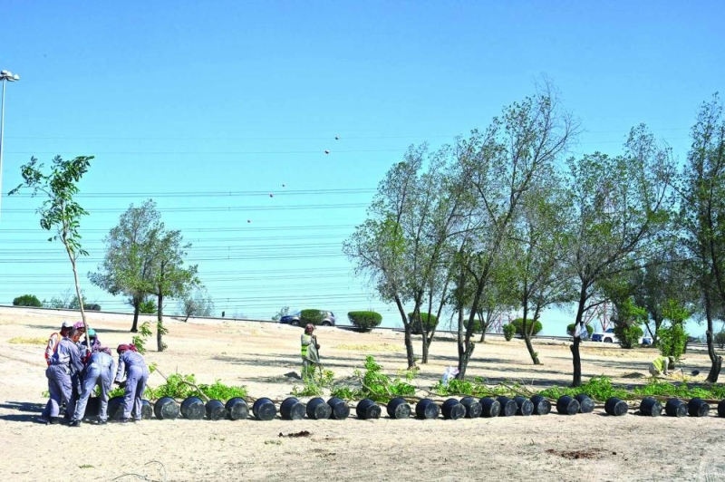 الشتلات قبيل غرسها على امتداد الطرق
(تصوير أسعد عبدالله)