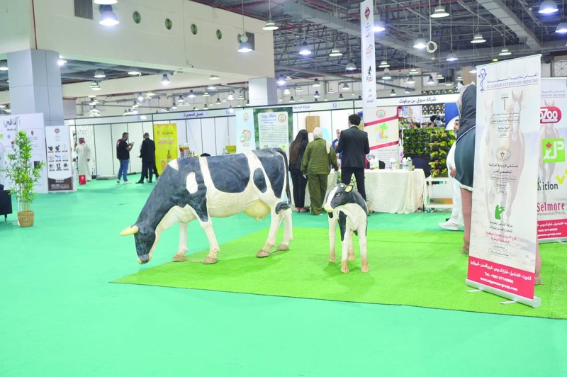 أحد أجنحة المعرض 