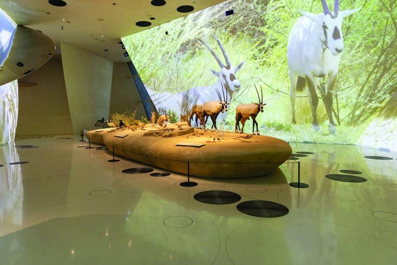 البيئات الطبيعية في قطر 