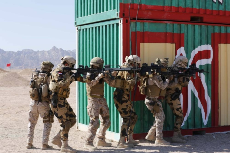 تدريبات عسكرية مصرية (أرشيفية)