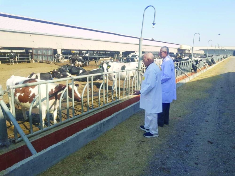 جانب من زيارة وفد المنظمة العربية للتنمية الزراعية لمزرعة لإنتاج الحليب بالصليبية 