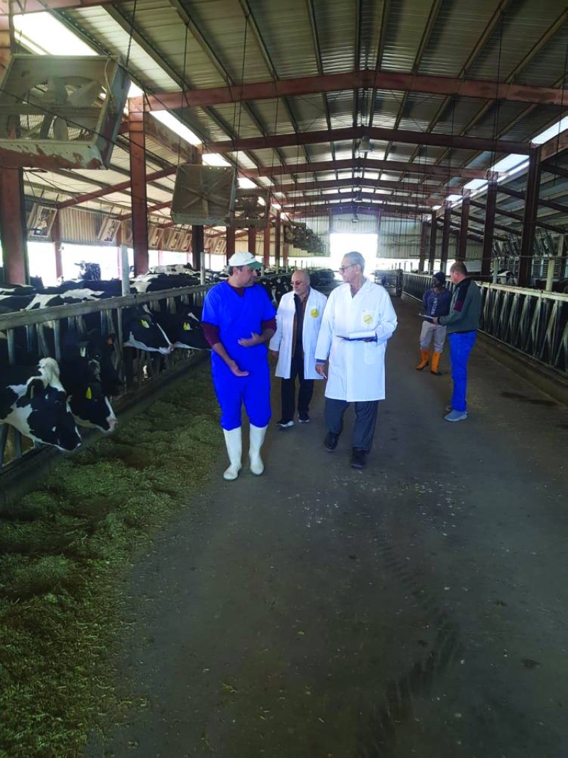 الدعم يشمل دورات وندوات إرشادية