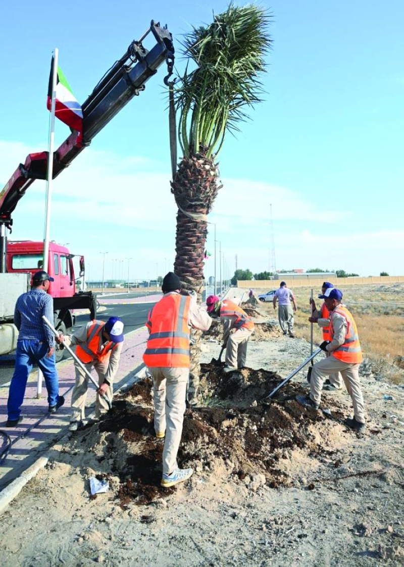 جانب من برنامج التشجير في المحافظة