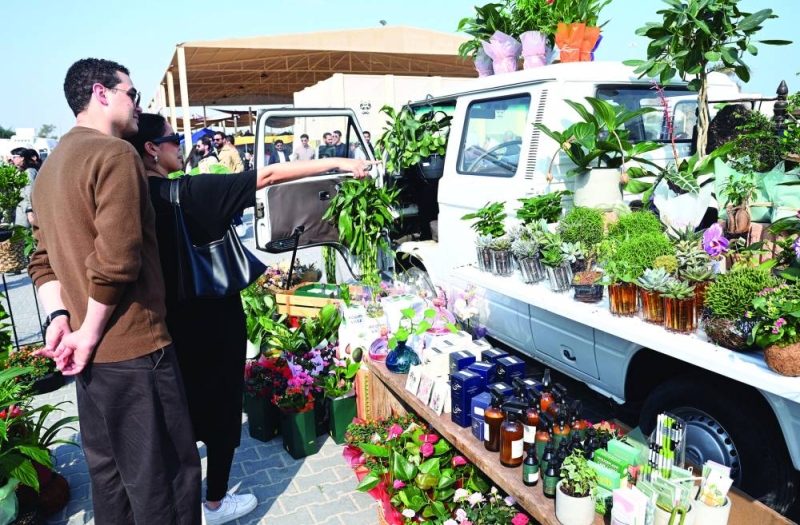 


منتجات حقلية 