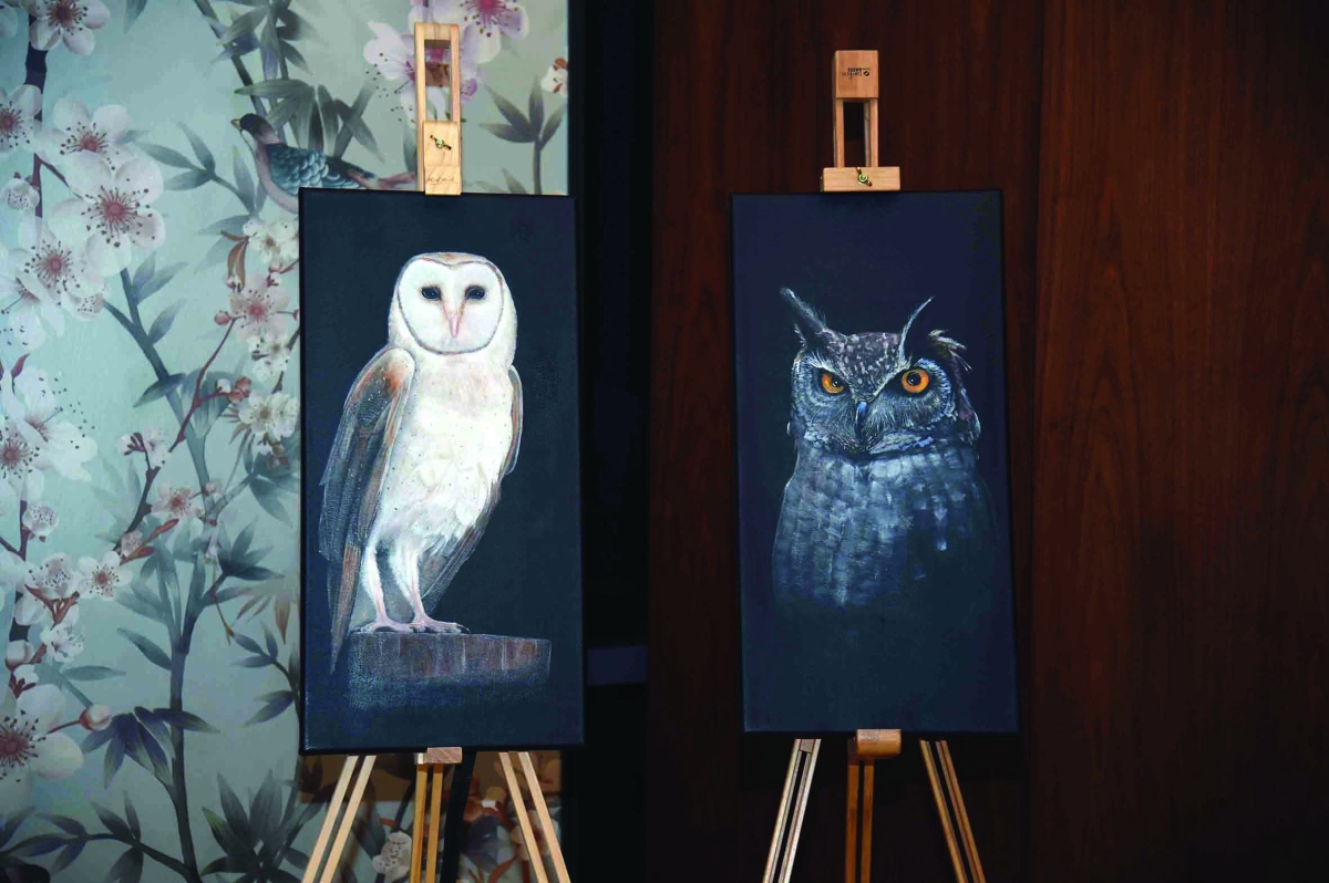 ألوان فنية متنوعة 