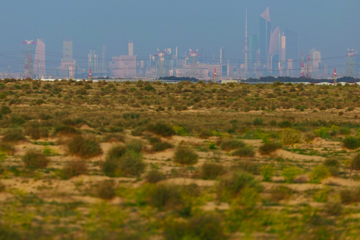 


ربيع الكويت 