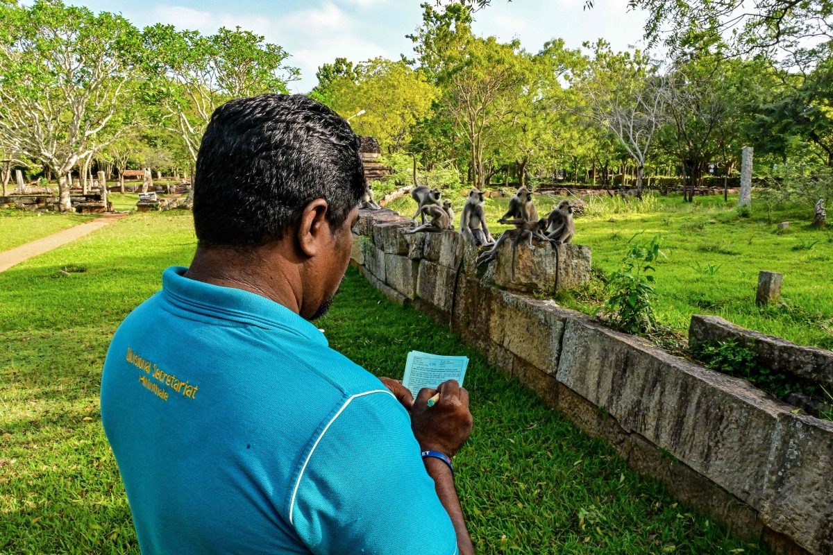 __AFP_372G7TR-1742019031