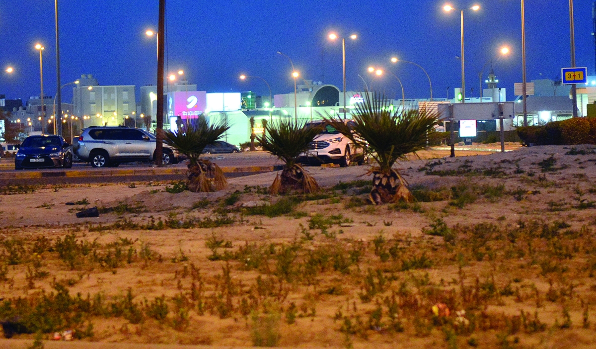 


الجدب يغطي المساحات 