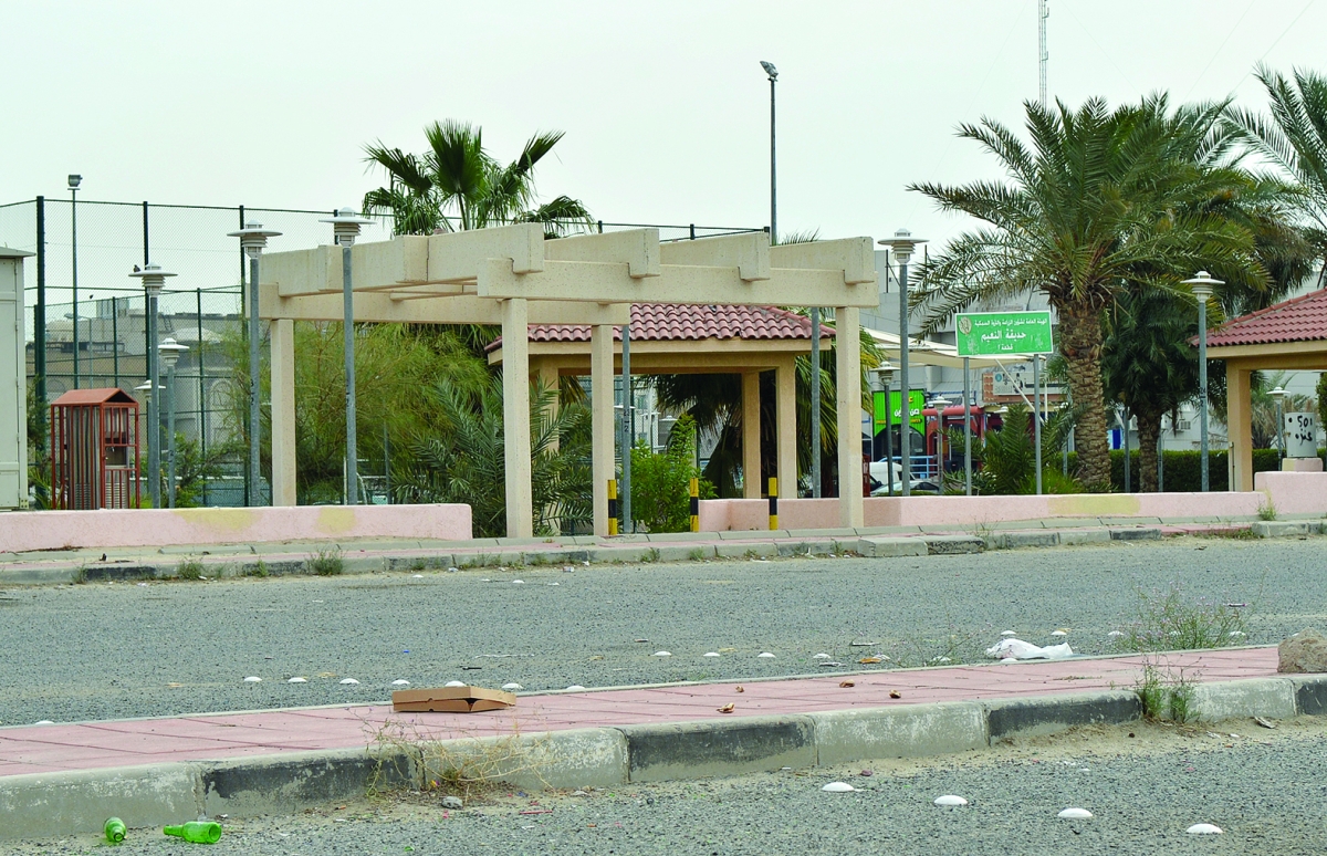 الحديقة بحاجة للتطوير 