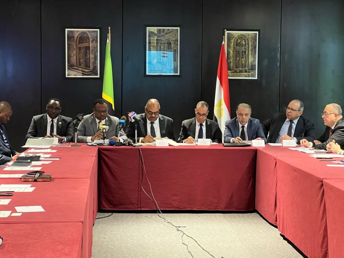 جانب من لقاءات عبدالعاطي في تنزانيا