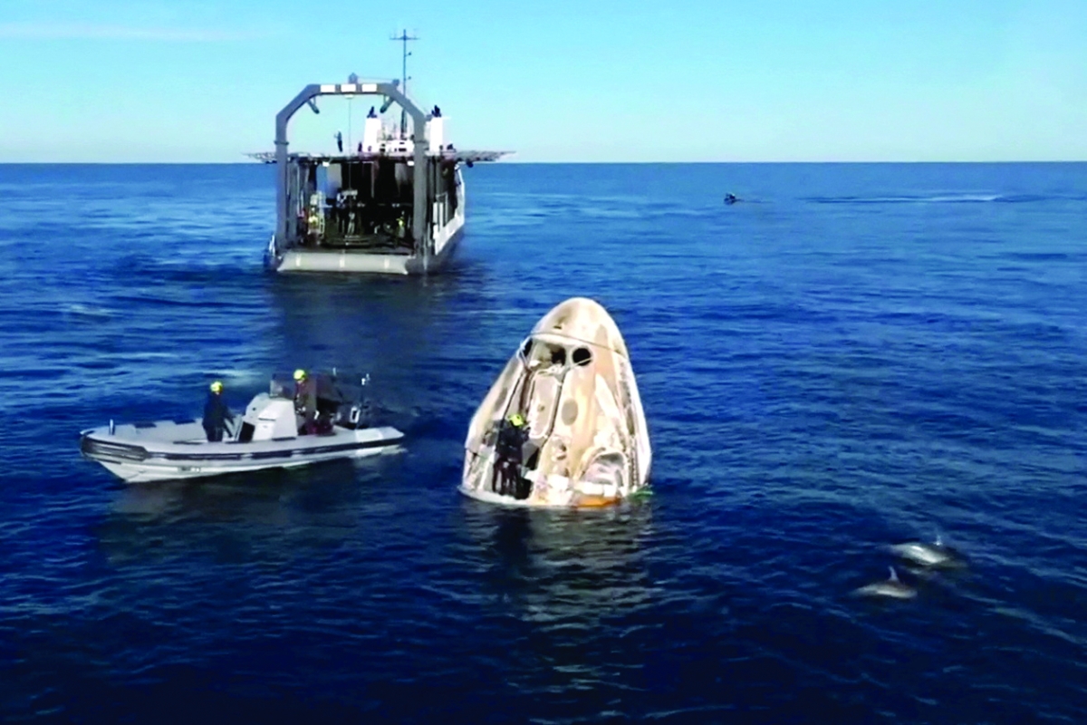 الدلافين تحيط بالكبسولة