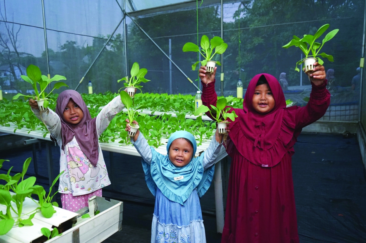 مشاريع تنموية بالنجاة الخيرية