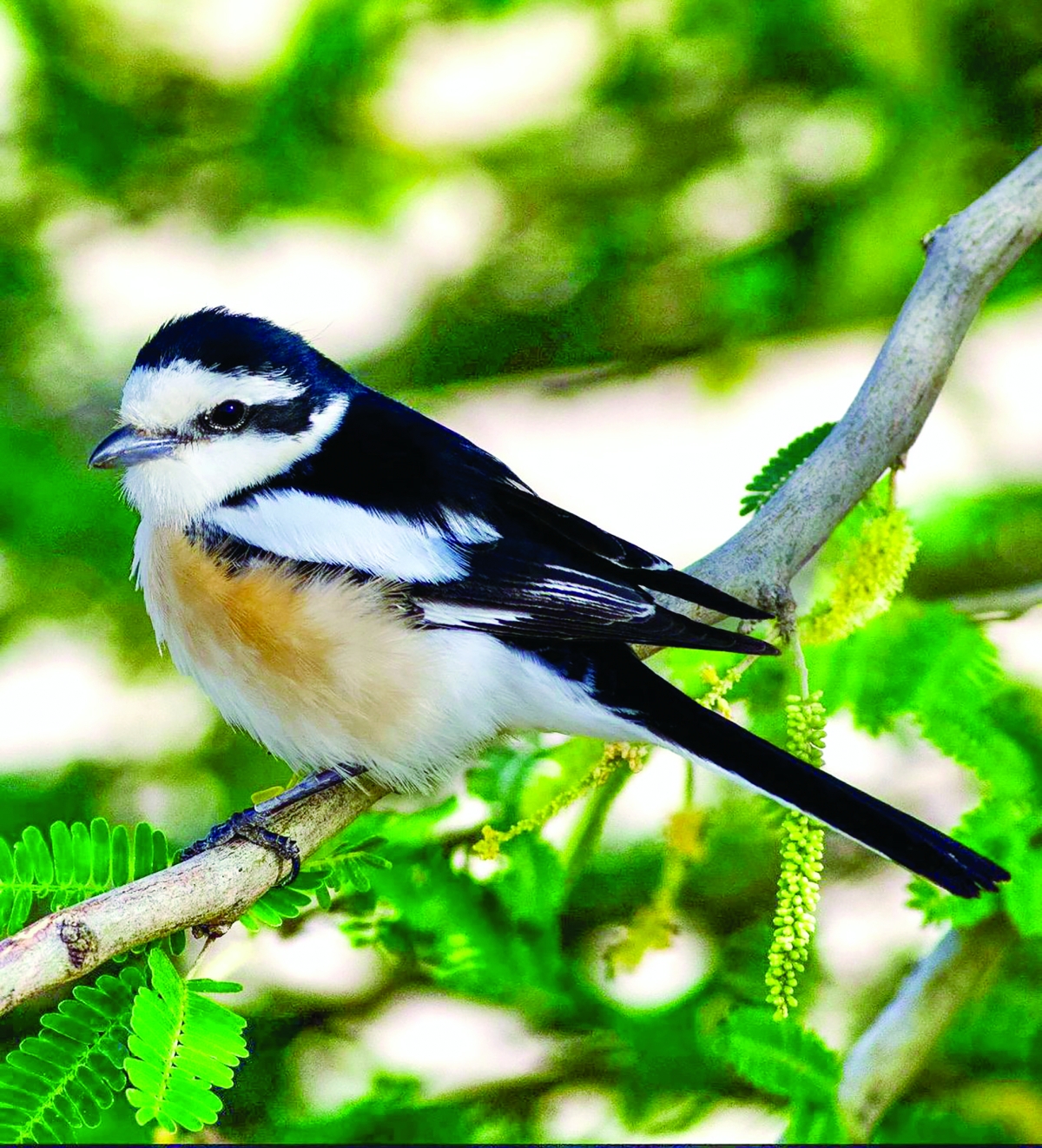 «الحسيني» بعدسة محمد الحضينة