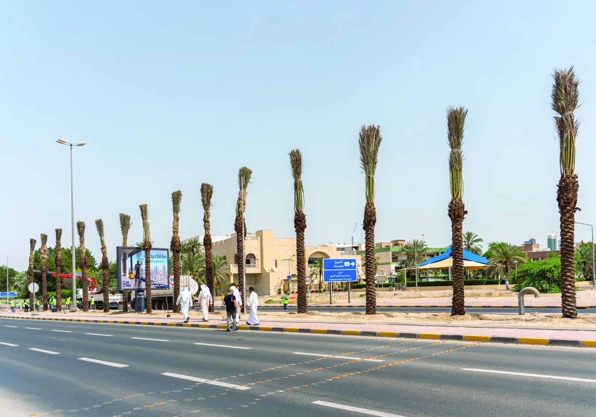 جانب من عملية تخضير الدائري الثاني