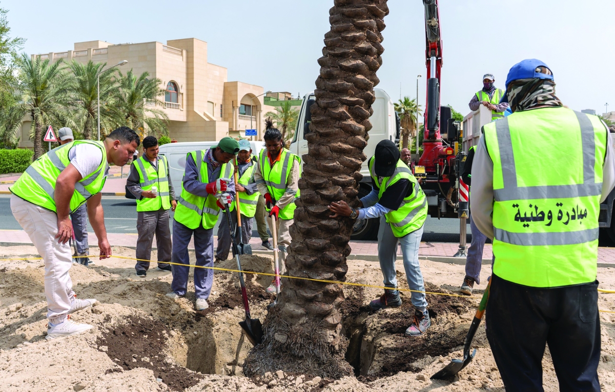 


بدء العمل في غرس 300 نخلة 