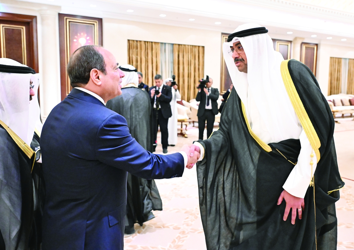 


السيسي مصافحاً الوزير العلي 