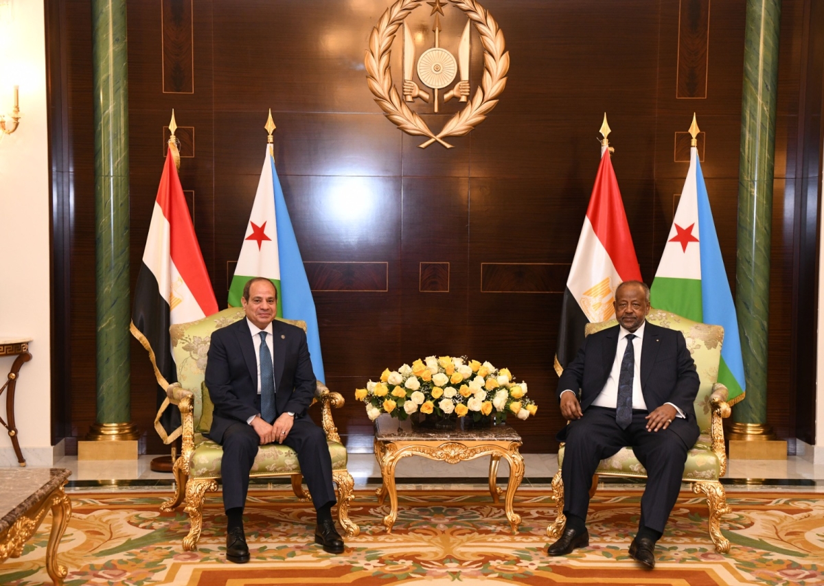 السيسي وجيلي خلال لقائهما في جيبوتي