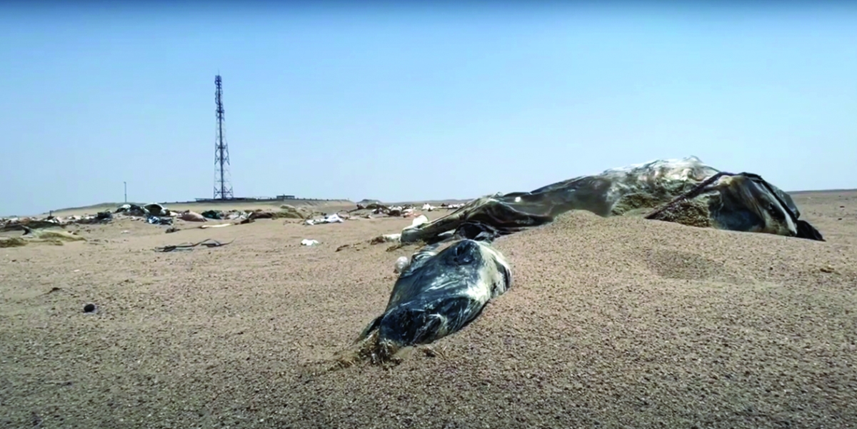 لهيب «مطربة» يضعها في صدارة البقع الأكثر حرارة 