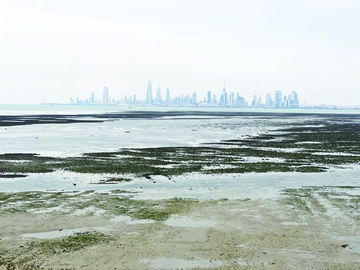 


يغيب عن كثير من السواحل وجود الصخور الصلبة التي قد تسهم في مقاومة التآكل 