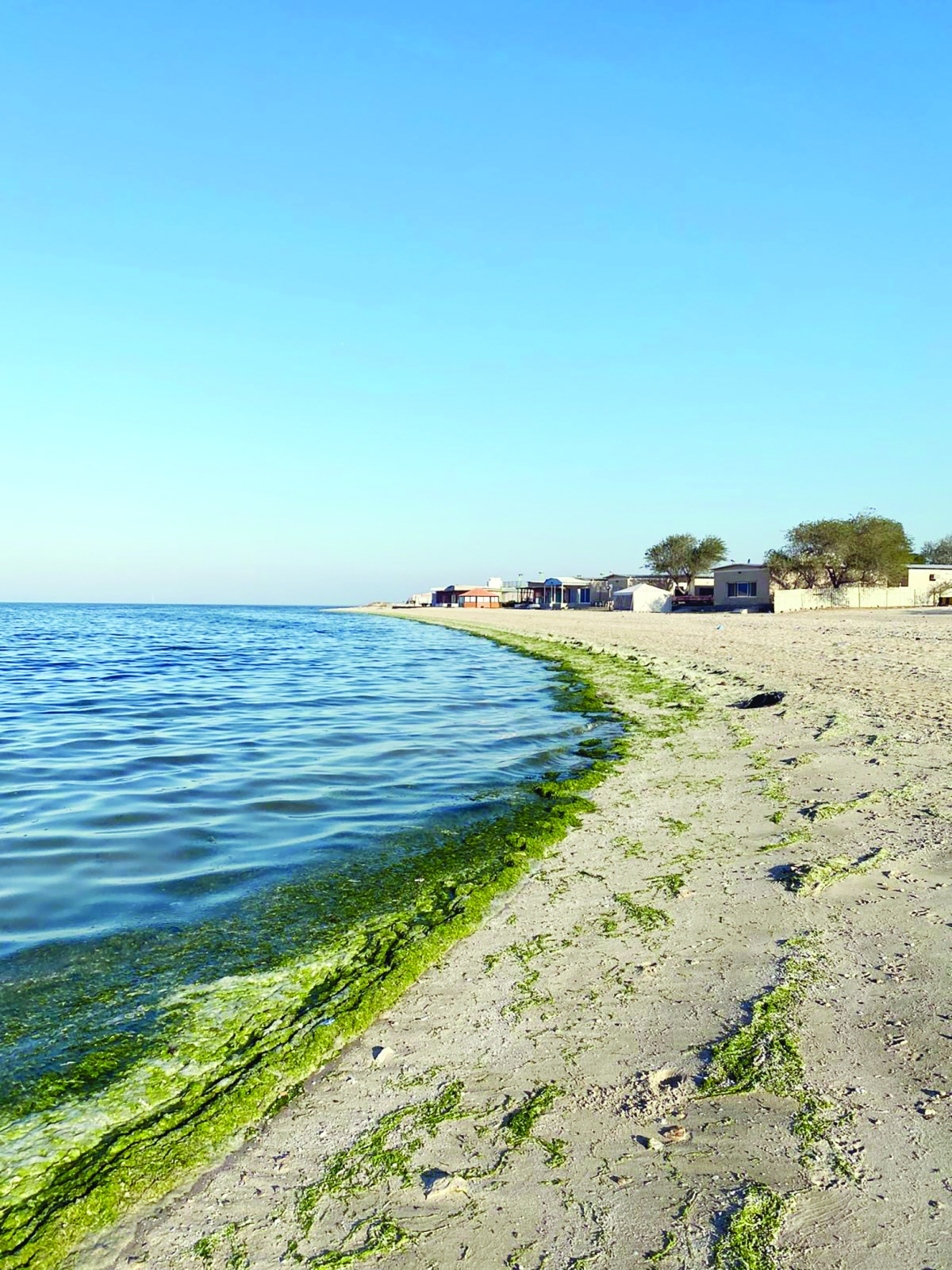 


الرمال والطين تعد من المواد التي يسهل تفتيتها 