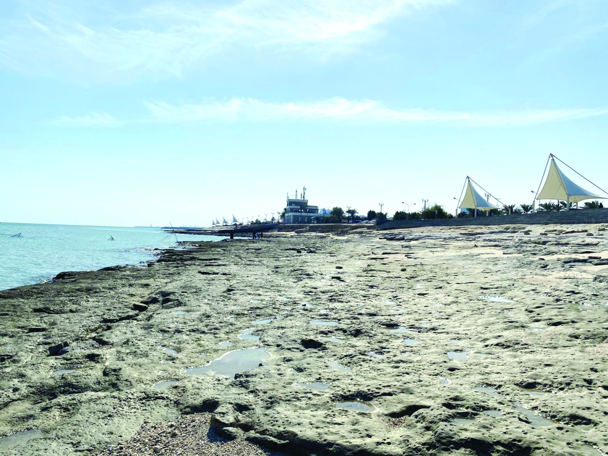 


عوامل بشرية وأخرى طبيعية تسهم في زيادة تآكل الشواطئ 