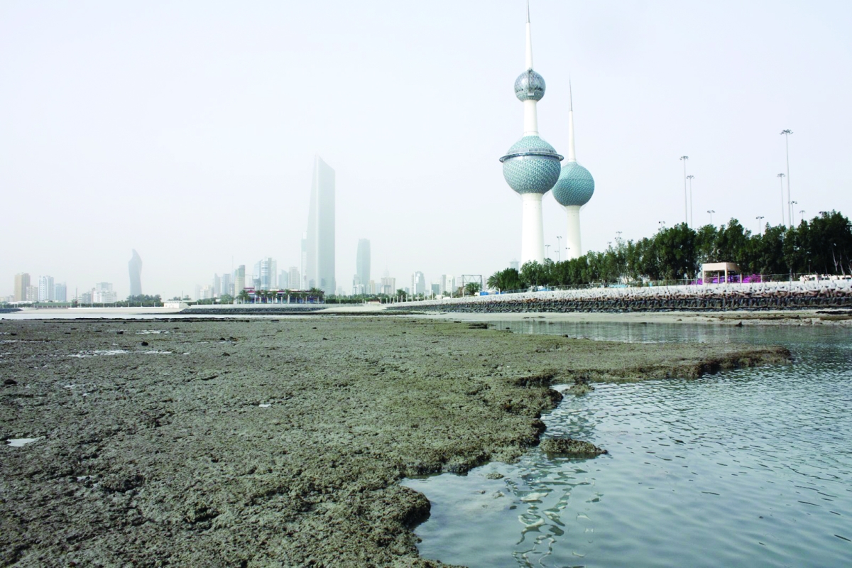 


تآكل الشواطئ...مشكلة يمكن معالجتها 	(تصوير:جنان بهزاد) 