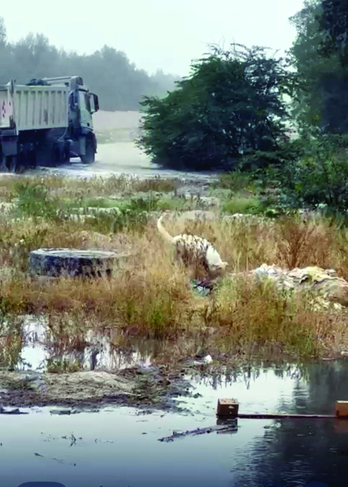 


سيارة تغوص في مستنقع مياه على الطريق 