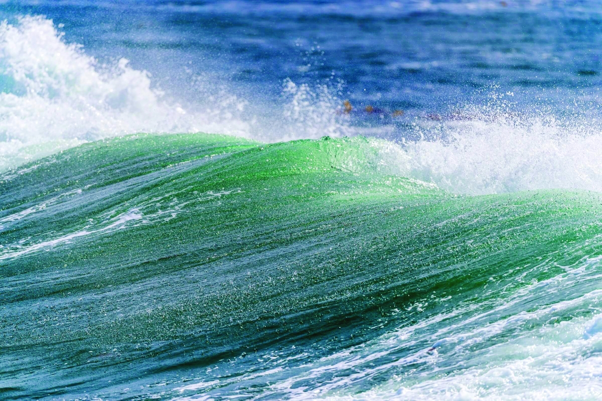 


تحذيرات علمية من تأثير الحرارة على ارتفاع منسوب المياه 