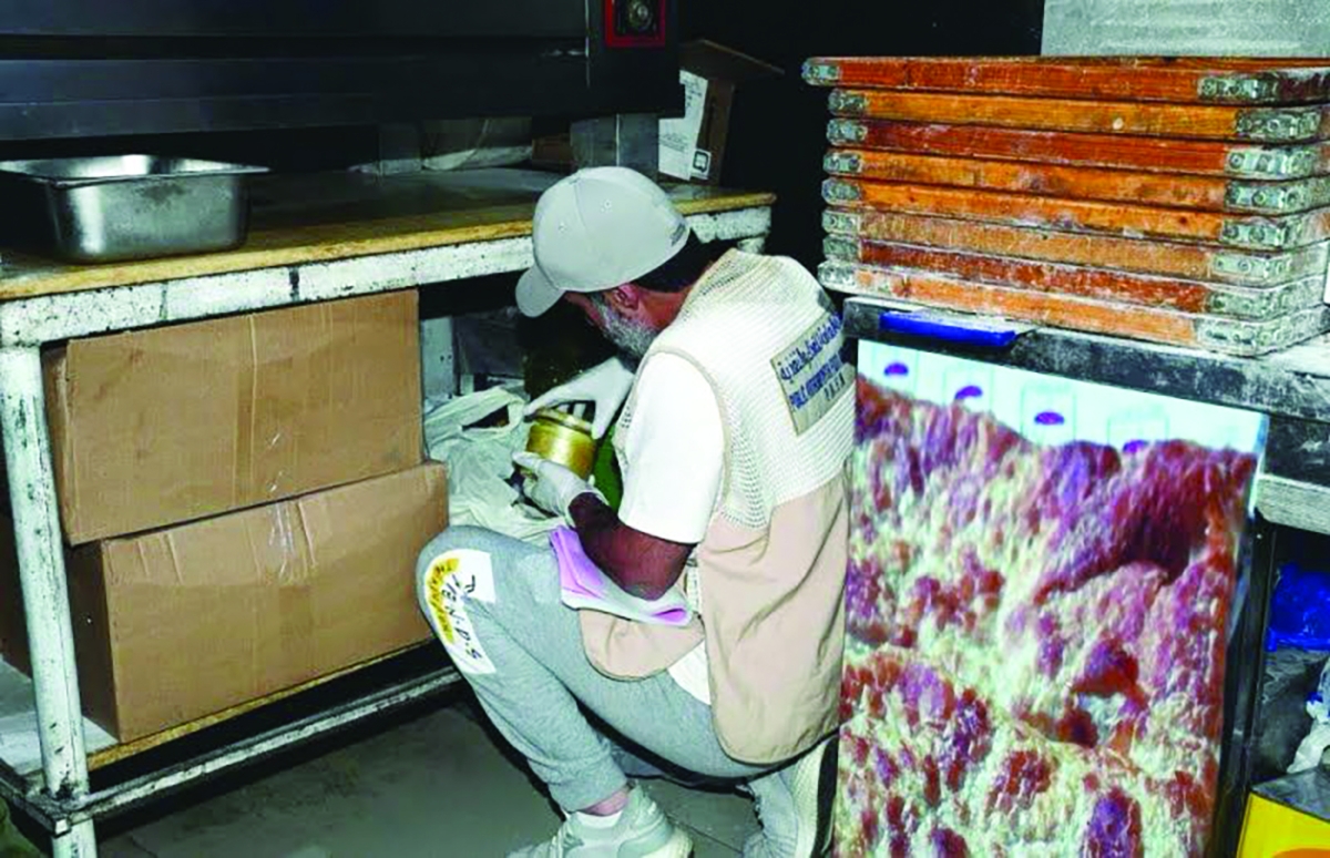 


جانب من حملات التفتيش 