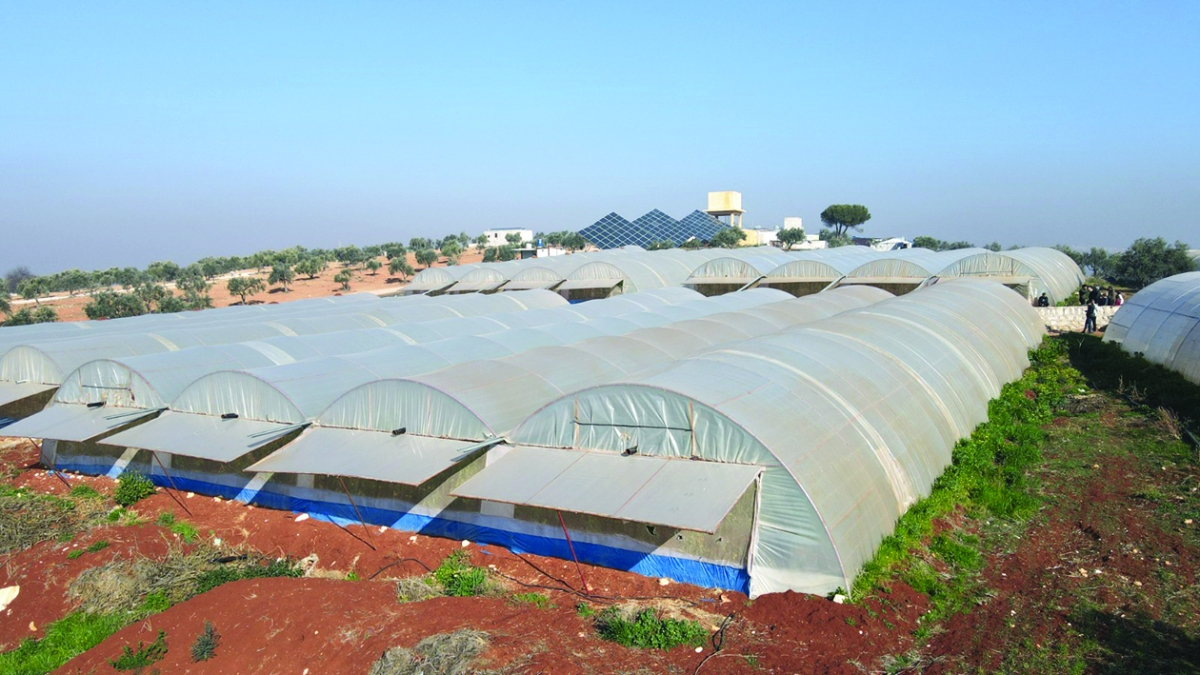 عدد من البيوت الزراعية التابعة للمشروع