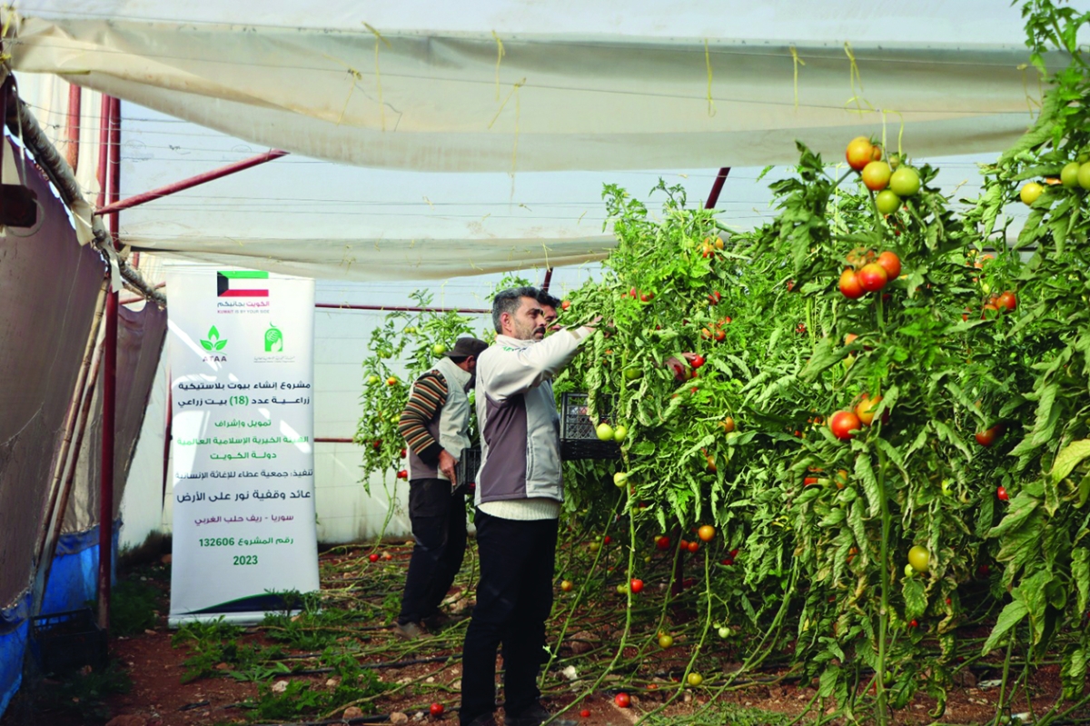  جانب من المشروع